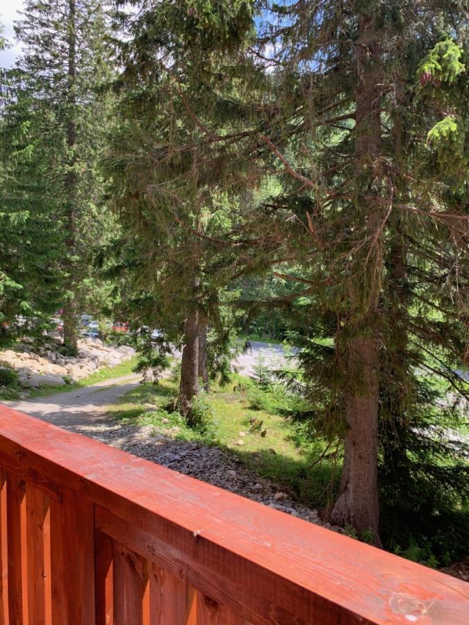 Apartmán Jeleň Chopok Juh-Trangoška Tale Esterno foto